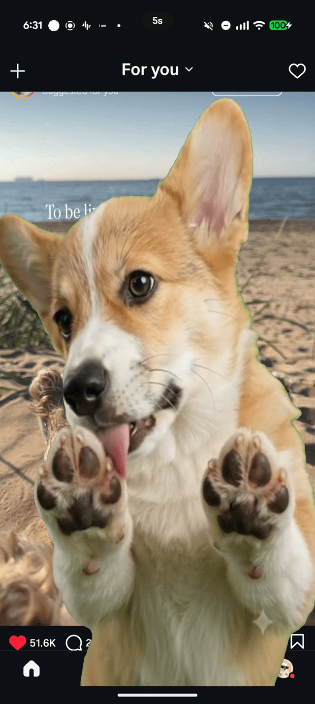 A corgi cut-out overlaid on top of an Instagram reel, staring at the viewer