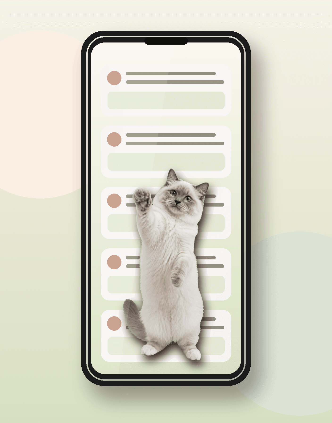 Social feed with a Ragdoll cat overlay